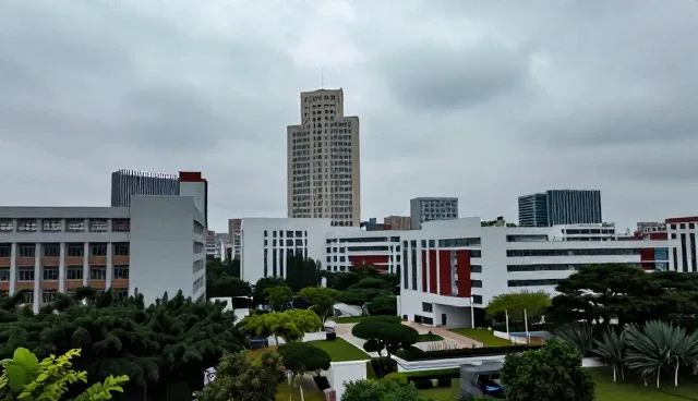 企业管理系统性能优化：选型关注点与使用建议